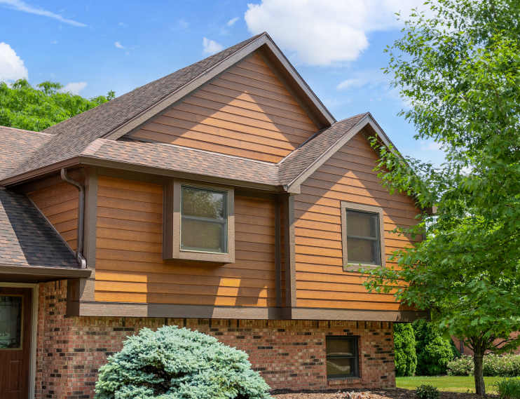 Cedar Siding