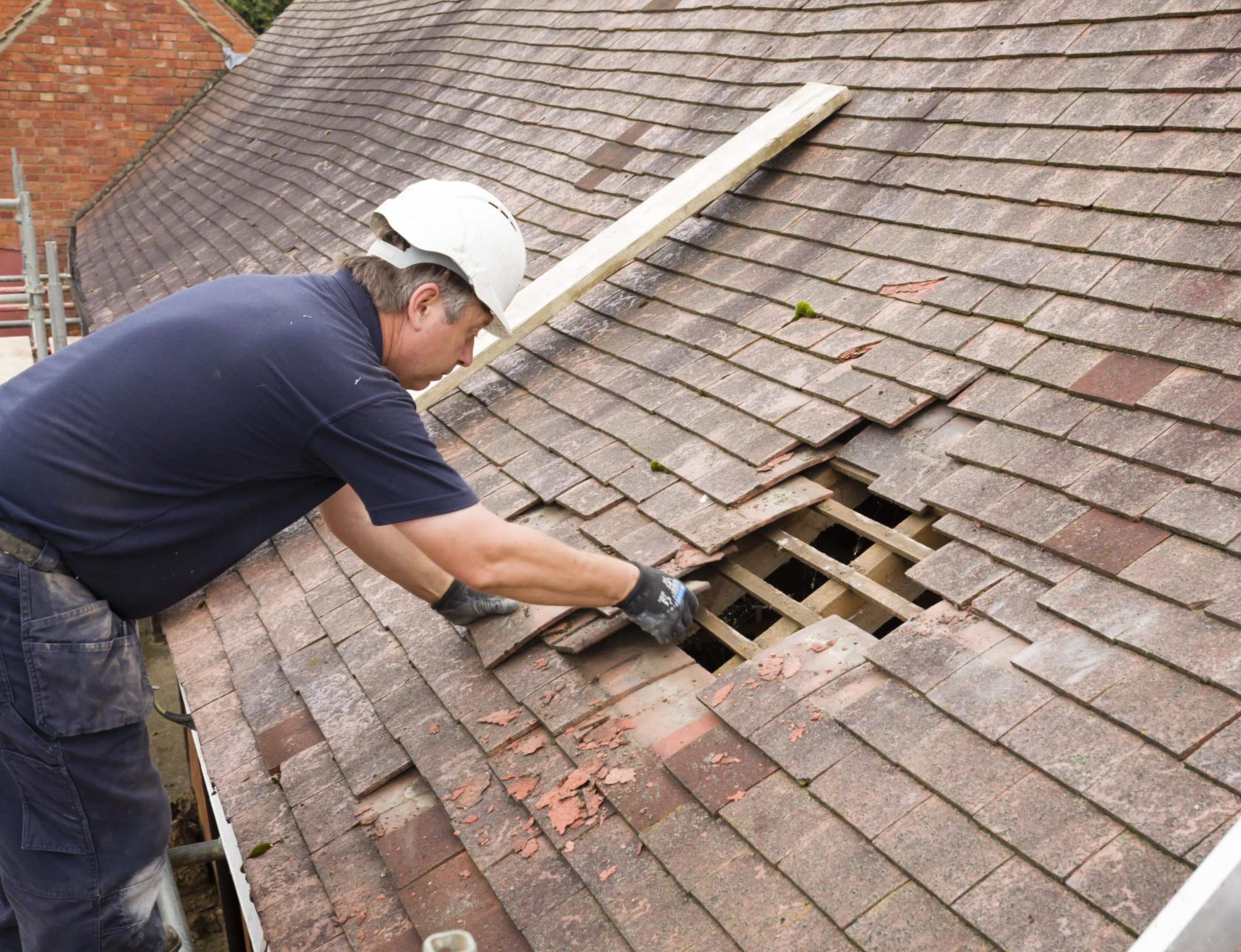 Roof Replacement